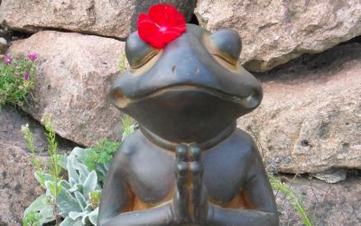 infolettre#32 – Pour une rentrée ZEN