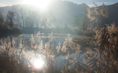 infolettre #35 – Merci la peur