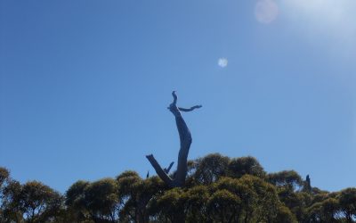 infolettre #34 – s&rsquo;abandonner