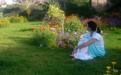 infolettre #39 – Principes de base de la méditation utile et programme des formations