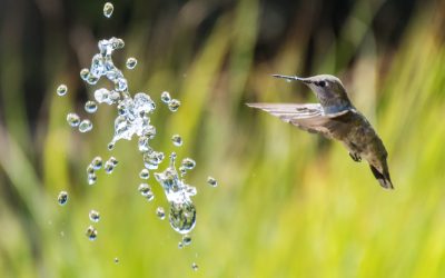 infolettre #40 – Préparez un été léger !