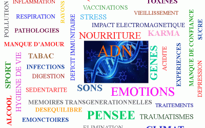 infolettre #44 – le stress oxydatif, du vieillissement programmé à l&rsquo;évolution consciente