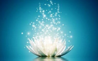 infolettre #45 Et si l&rsquo;on arrêtait de s&rsquo;autodétruire ? + le programme des formations