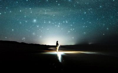 infolettre #46 – La révolution intérieure