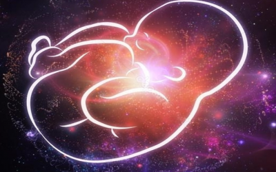 Infolettre#47 – les mémoires périnatales