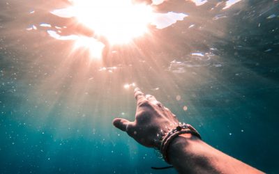 infolettre #58 – La dépression spirituelle – le programme des formations