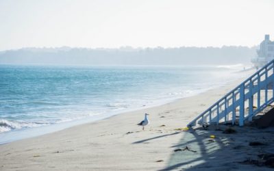 infolettre #61 – les indispensables de l’été :-))